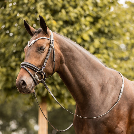 Horze Grayson Classic Dressage Ergonomic Bridle image 