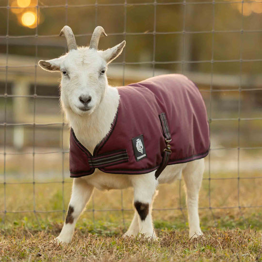 Equinavia Norse Waterproof Goat Coat 200g image 