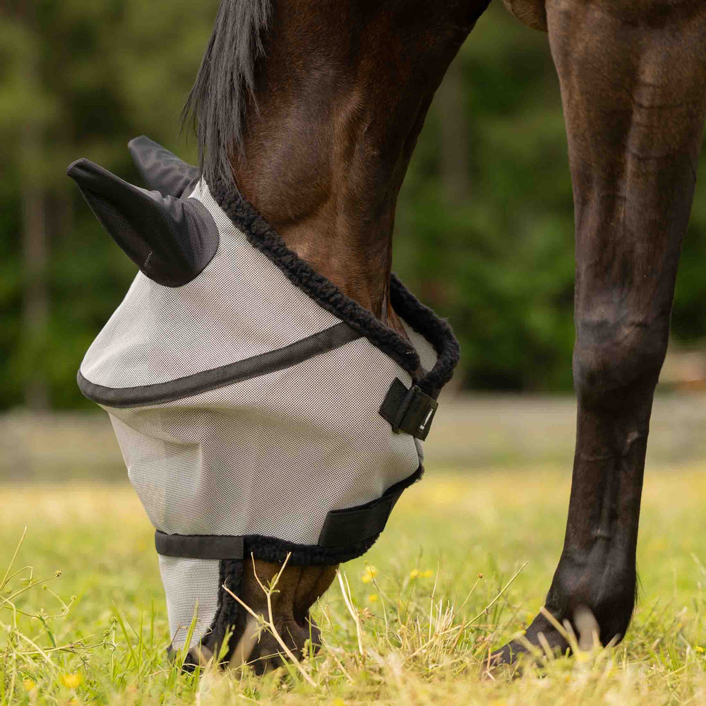 Equinavia Visor Fly Mask with Detachable Nose image #2