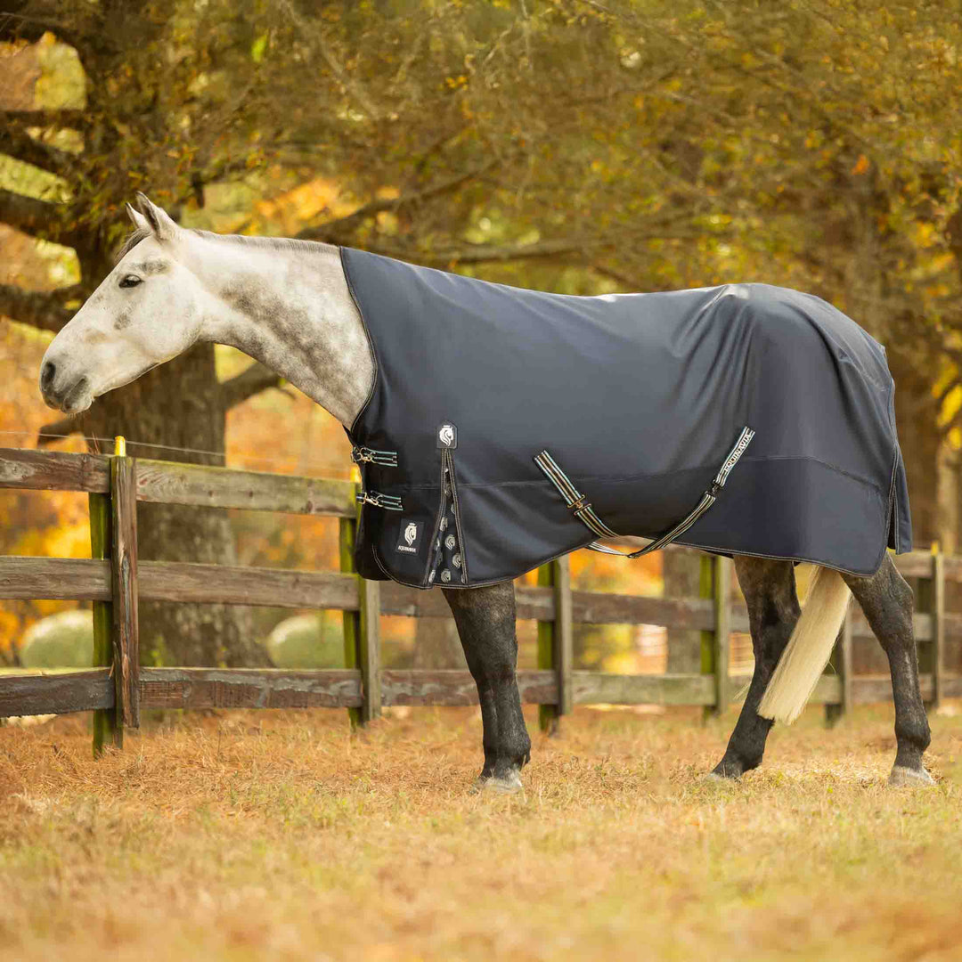 Equinavia Arktis Extended Neck Heavy Weight Turnout Blanket 300g image 