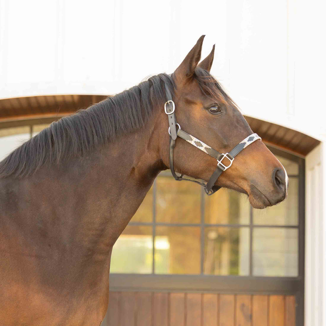 Equinavia Siri Polo Leather Halter image 