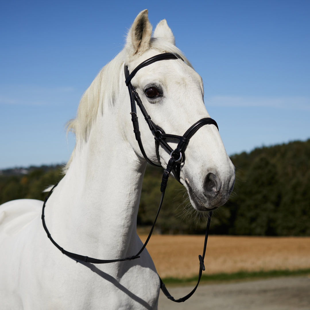 Horze Denver Bitless Bridle image 