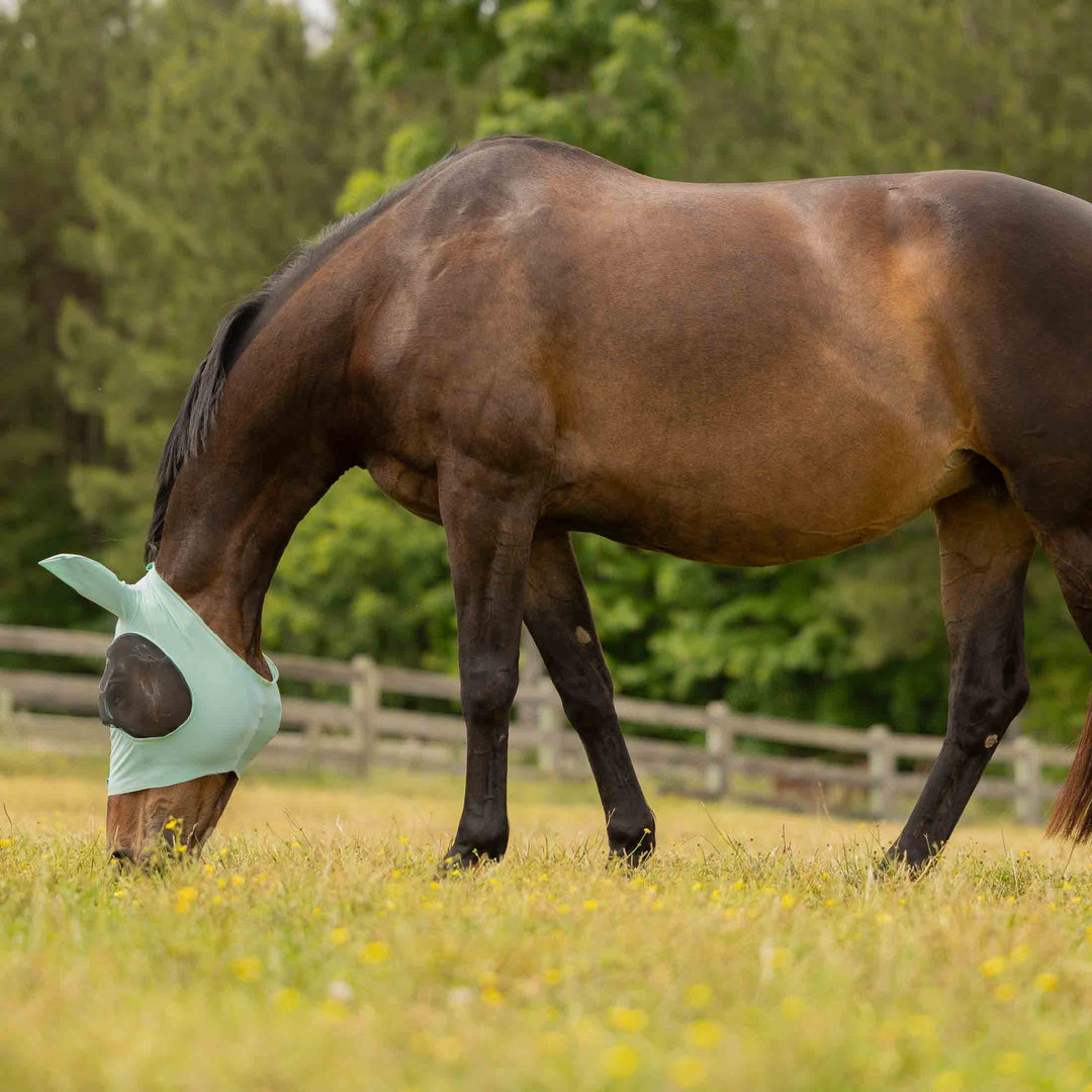 Equinavia Bug Out Fly Mask image 