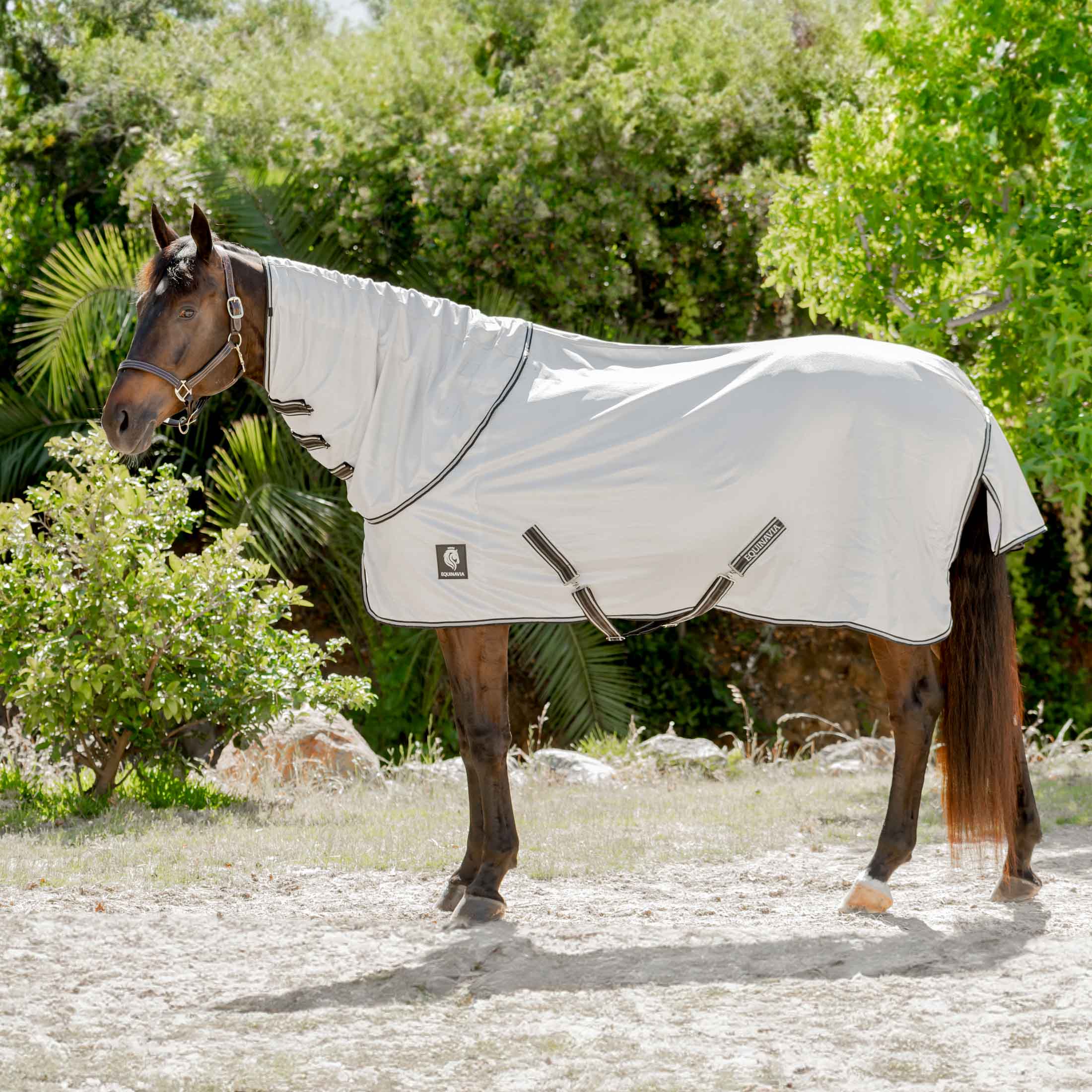 Equinavia Brisk Fly Sheet with Detachable Neck image #1