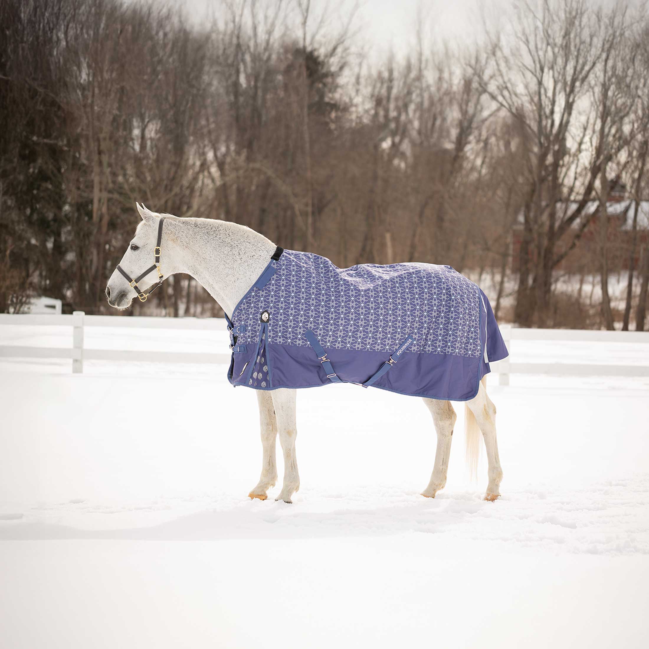 Equinavia Arktis Regular Neck Mid Weight Turnout Blanket 200g image #1