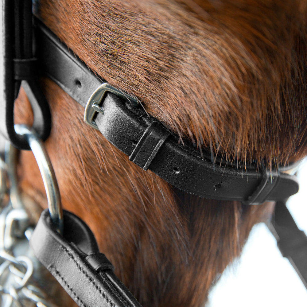 Horze Vienna Weymouth Dressage Bridle image 