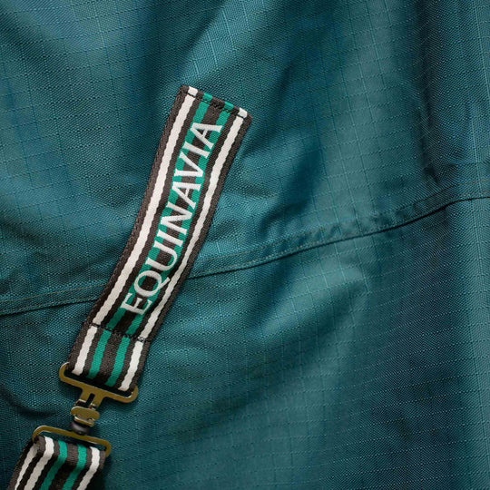 Equinavia Arktis Regular Neck Light Weight Turnout Blanket 100g image 