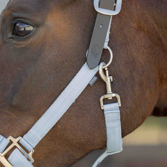 Equinavia Loki Breakaway Halter image 