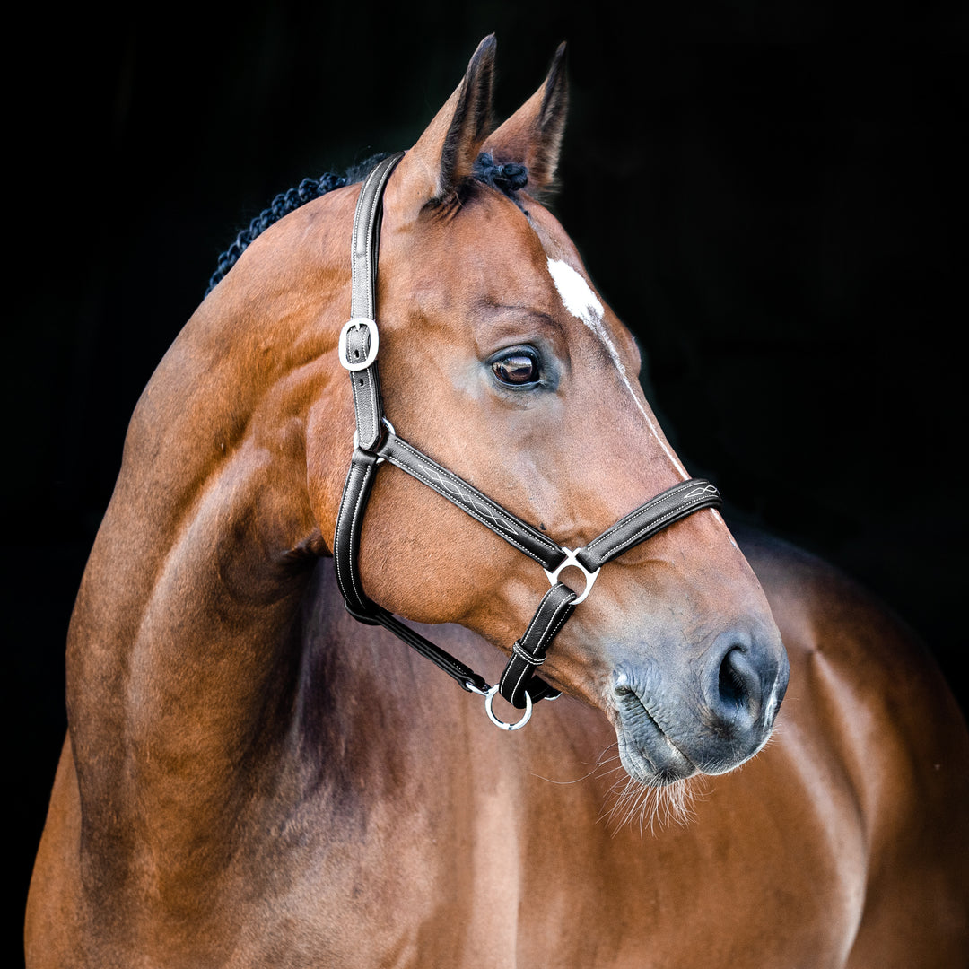 Horze Warren Soft Leather Halter image 