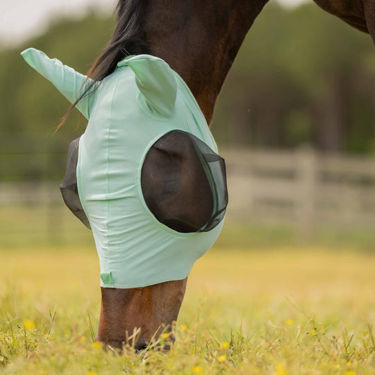 Equinavia Bug Out Fly Mask image 