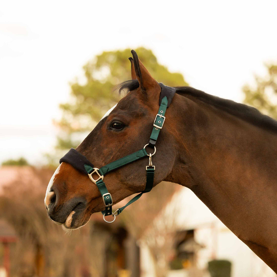 Equinavia Saga Fleece Padded Breakaway Halter image 