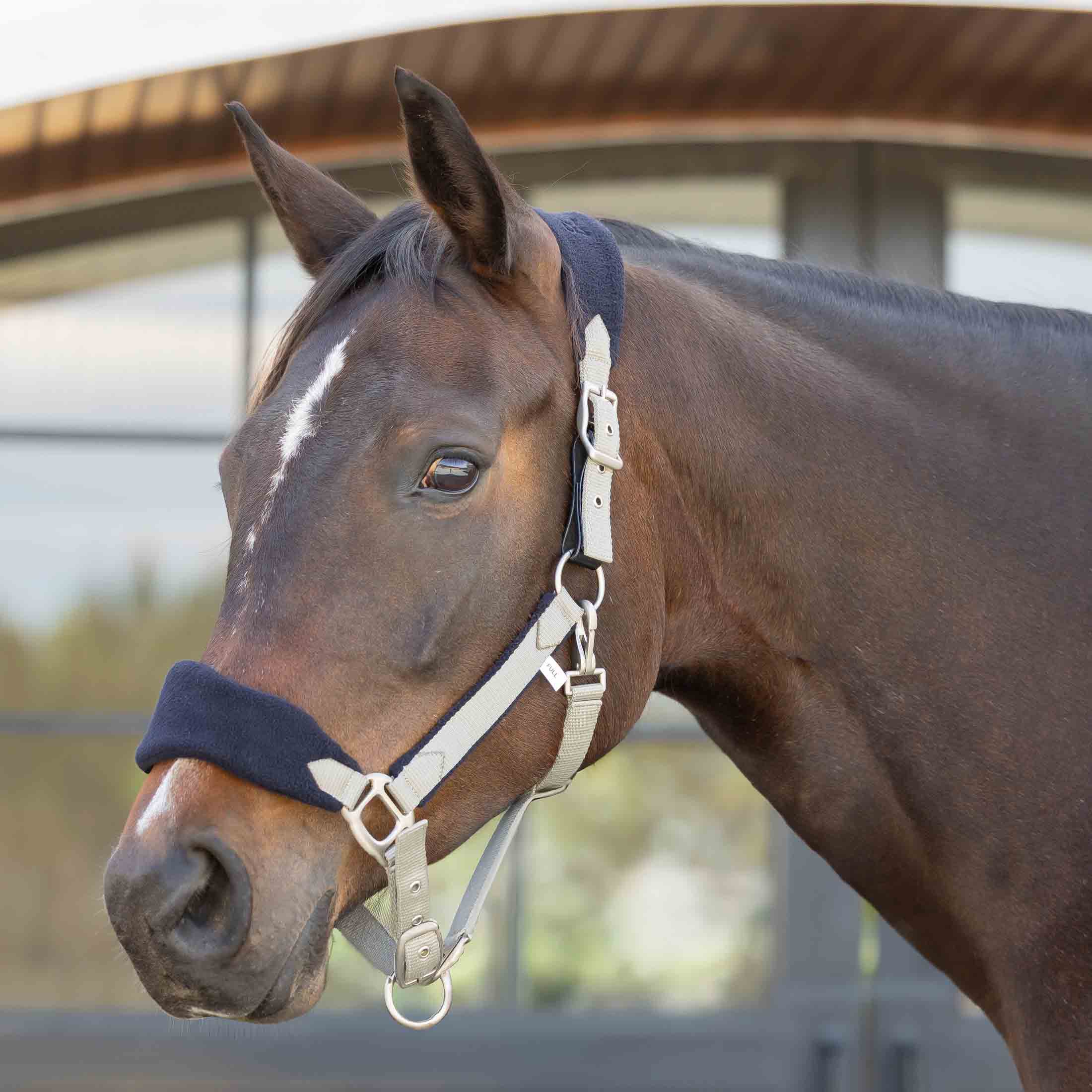 Equinavia Saga Fleece Padded Breakaway Halter image #1