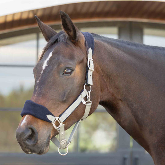 Equinavia Saga Fleece Padded Breakaway Halter image 