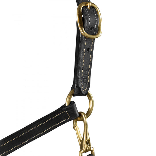 Horze Fremont Leather Horse Halter image 