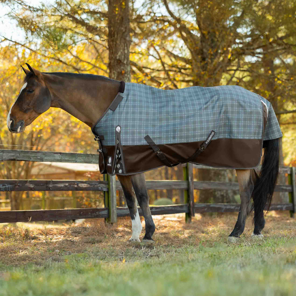 Equinavia Arktis Regular Neck Mid Weight Turnout Blanket 200g image #2