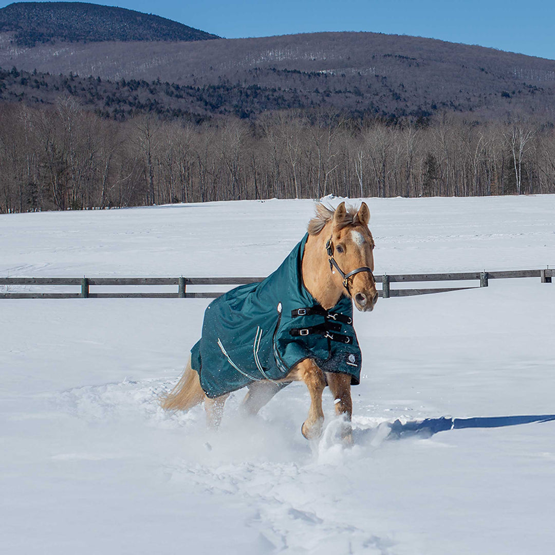 Equinavia Arktis Extended Neck Mid Weight Turnout Blanket 200g image 