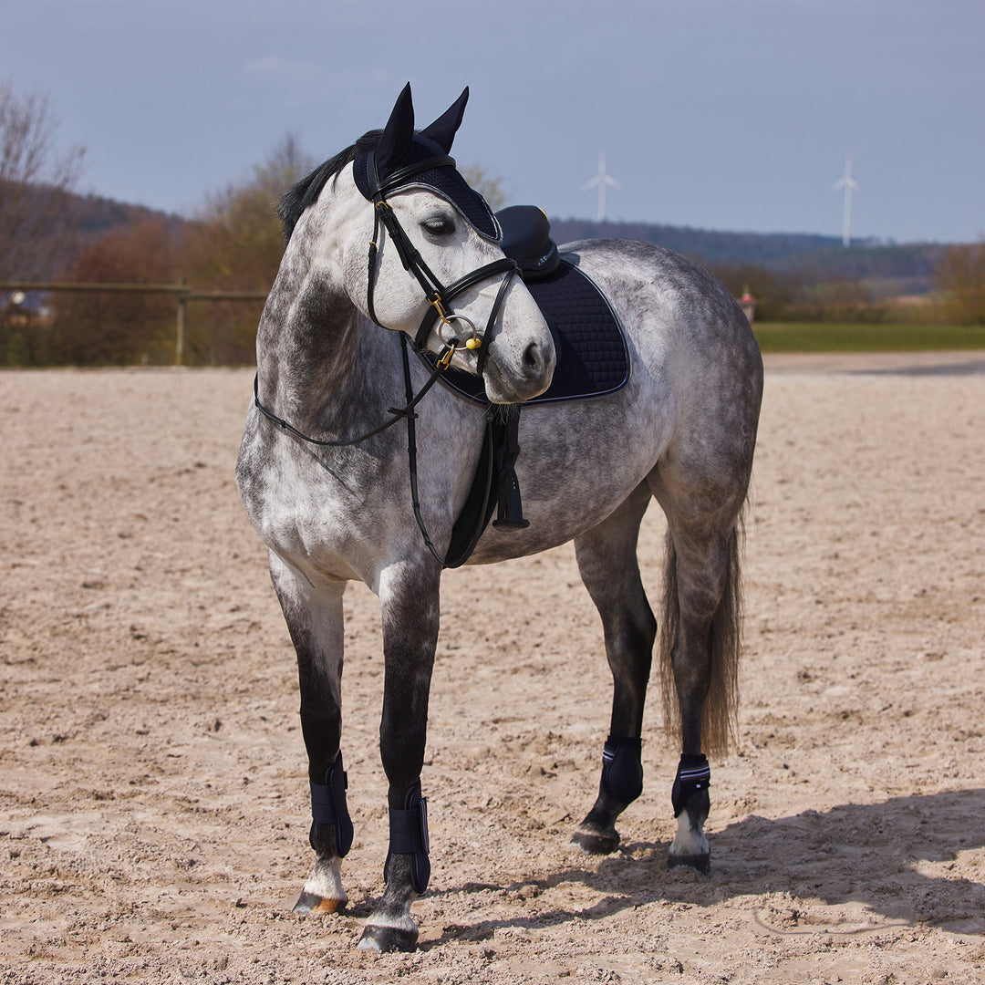 Horze Adepto Fetlock Boots image 