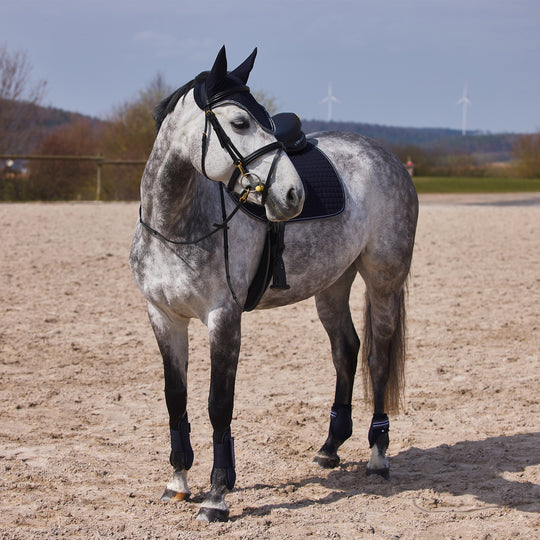 Horze Adepto Fetlock Boots image 