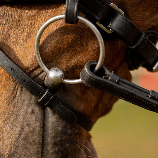 Equinavia Valkyrie Anatomic Dressage Bridle with Rubber Reins image 