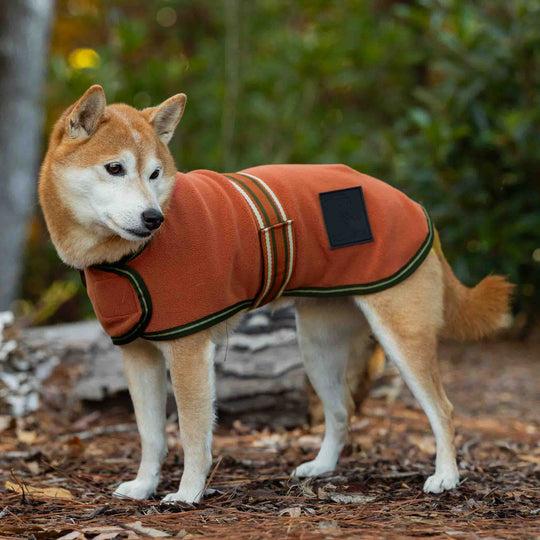 Equinavia Norse Fleece Dog Coat image 