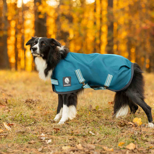 Equinavia Arktis Dog Turnout Sheet image 