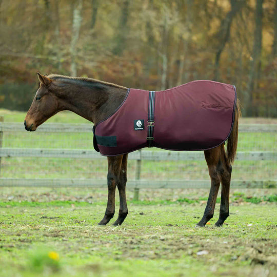 Equinavia Norse Foal Turnout Blanket 200g image 