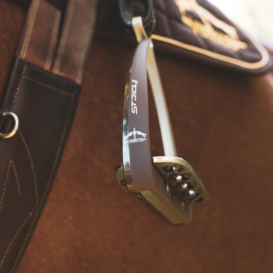 Veredus Vita Stirrup Steel1 image 