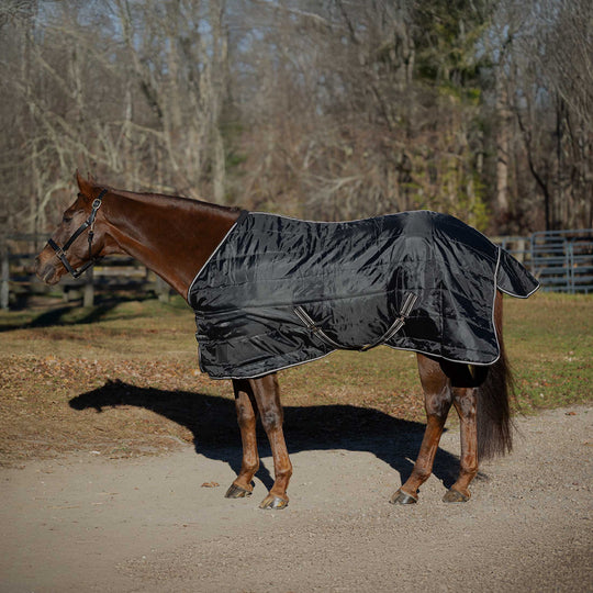 Equinavia Norse Stable Blanket 200g image 