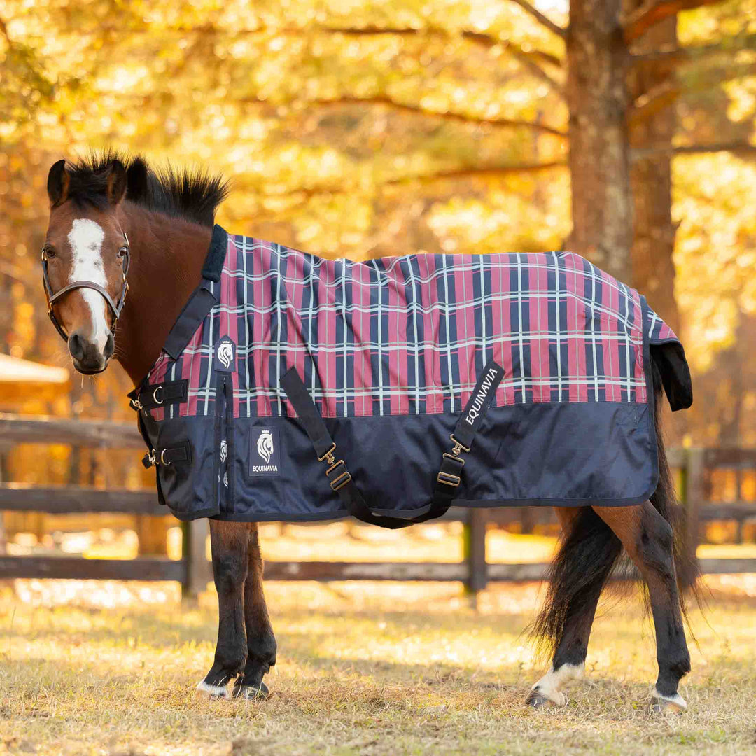 Equinavia Norse Pony Turnout Sheet image 