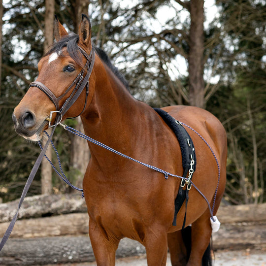 Horze Lunging Aid image 