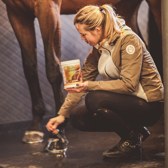Veredus Golden Hoof image 