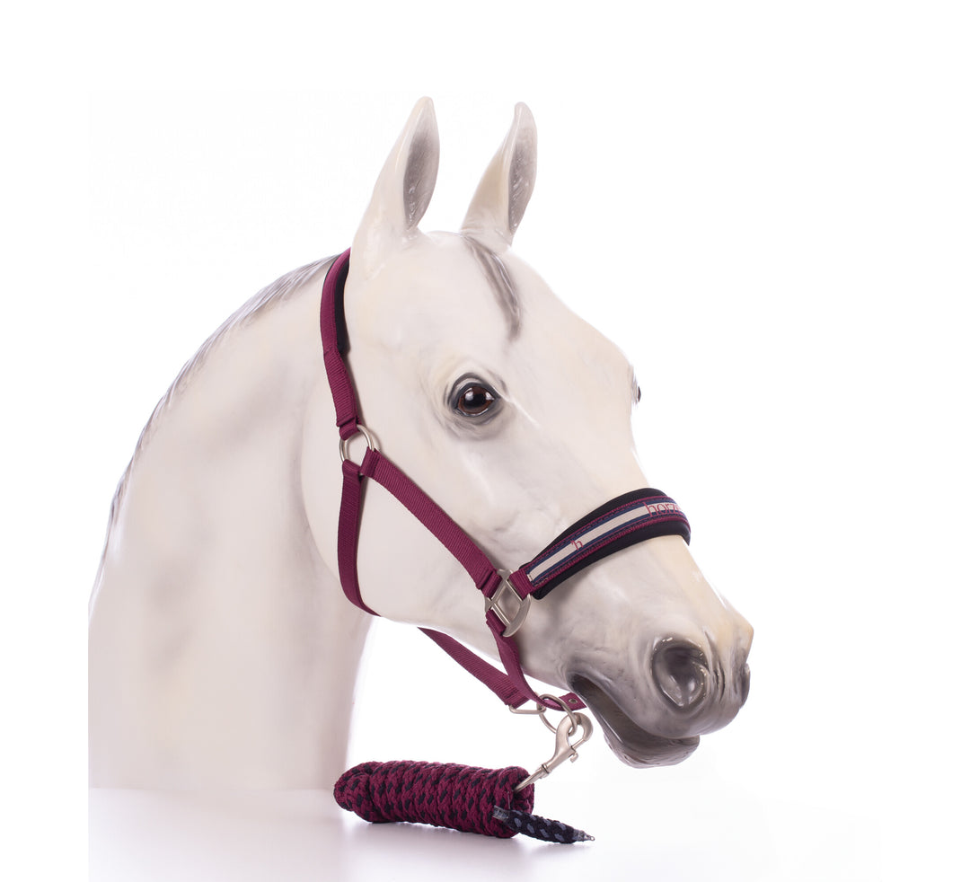 Horze Eternal Gaze Halter and Lead Set image 