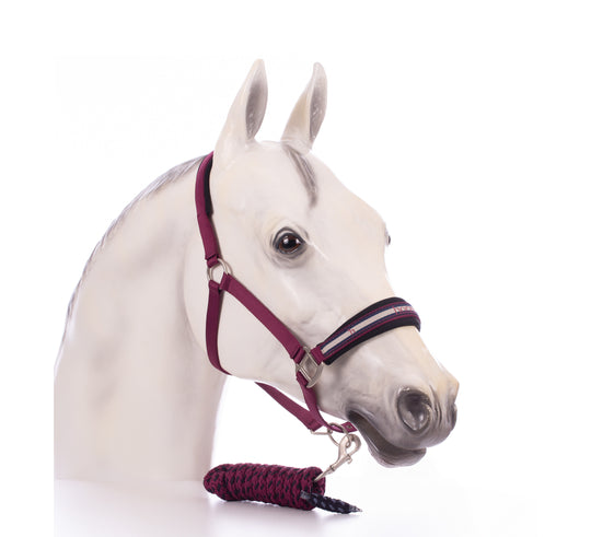 Horze Eternal Gaze Halter and Lead Set image 