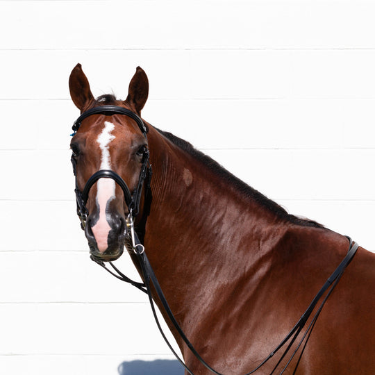 Equinavia Saga Double Bridle w/ Reins image 