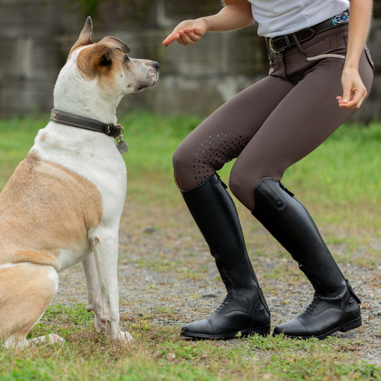 Equinavia Madeleine Womens Full Seat Breeches image 