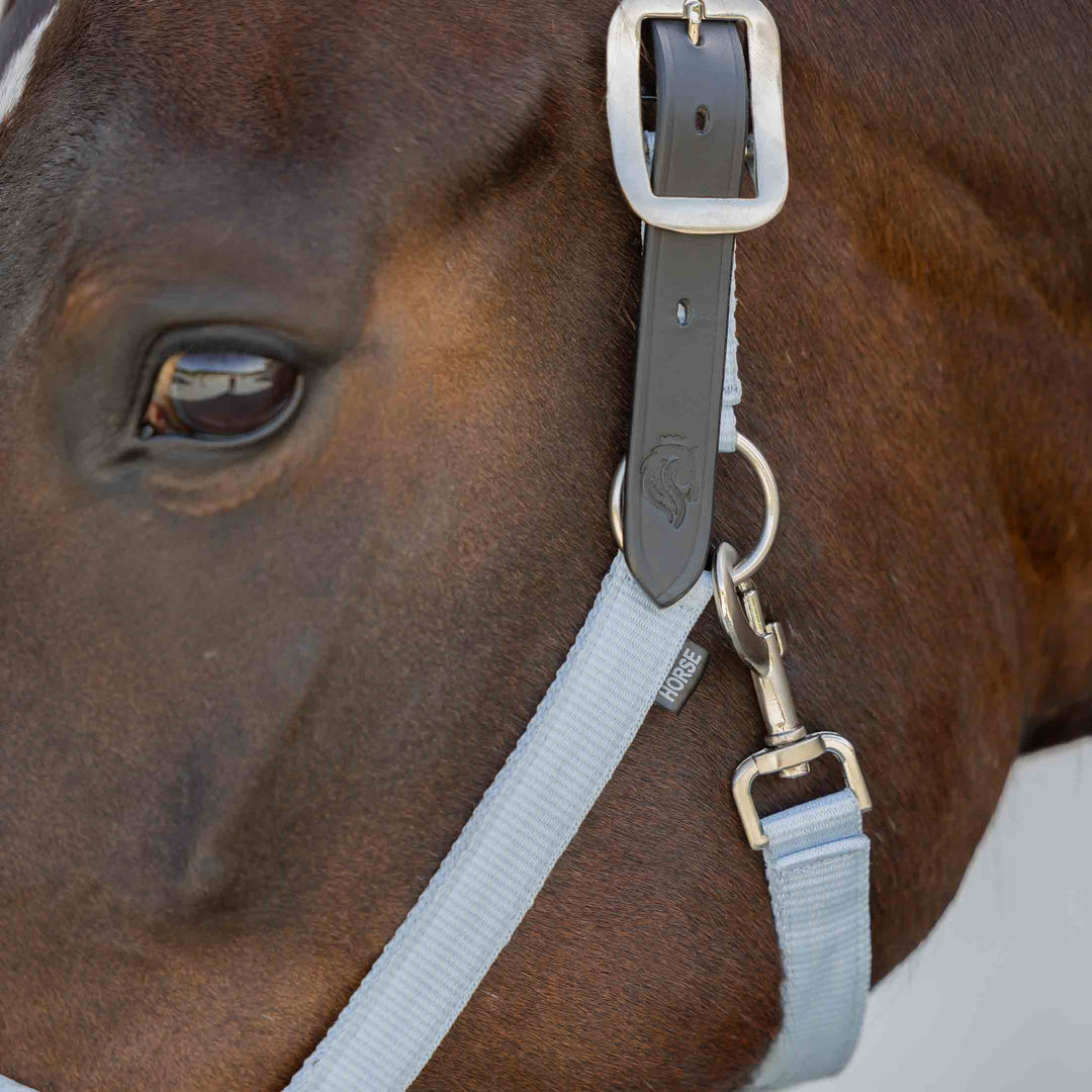 Equinavia Loki Breakaway Halter image 