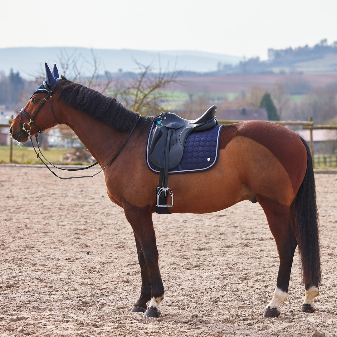B Vertigo Zurich Dressage Saddle Pad image 