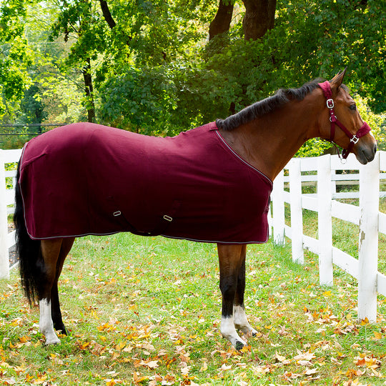 Horze Kiel Halter with Fleece image 