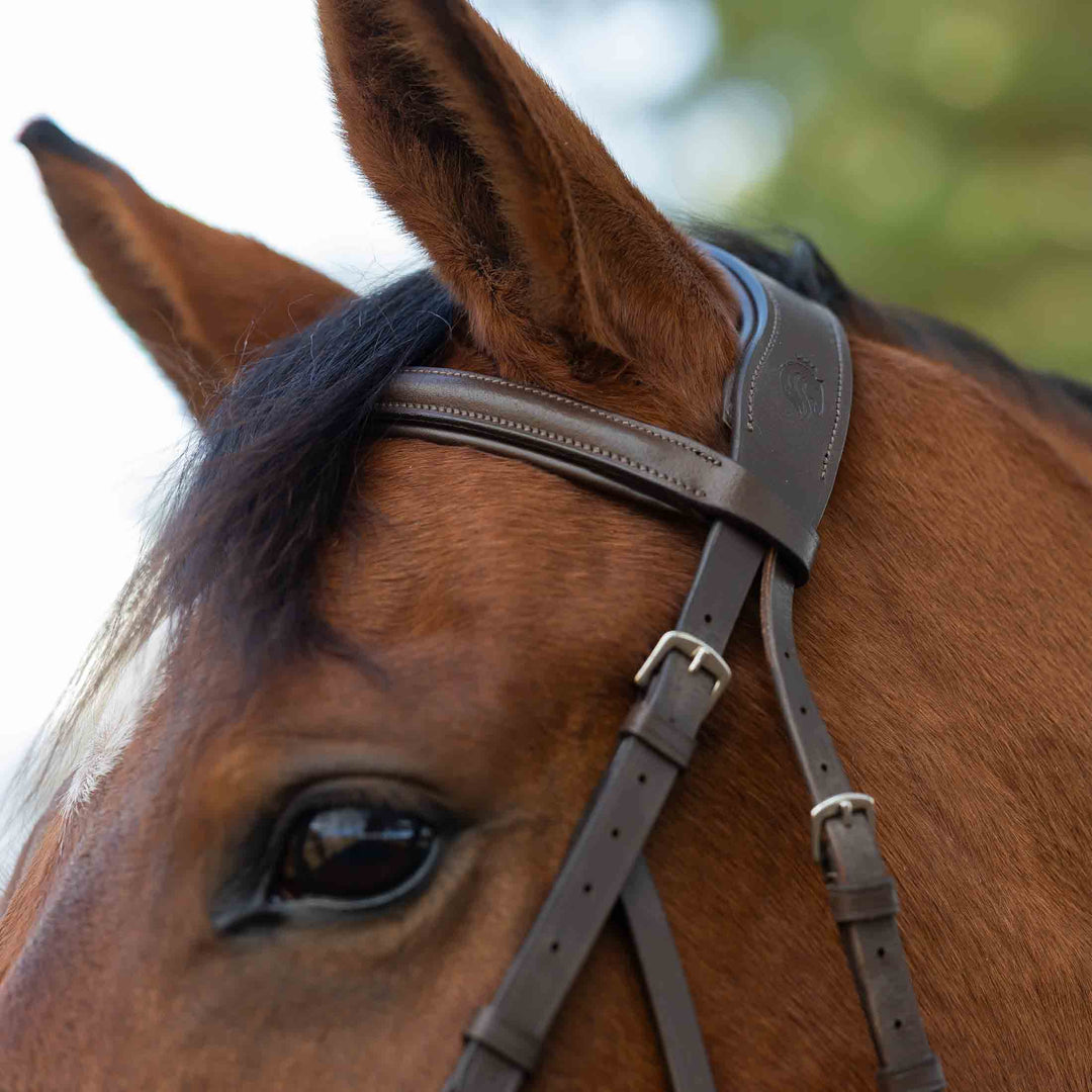 Equinavia Saga Hackamore Bridle with Rubber Reins image 