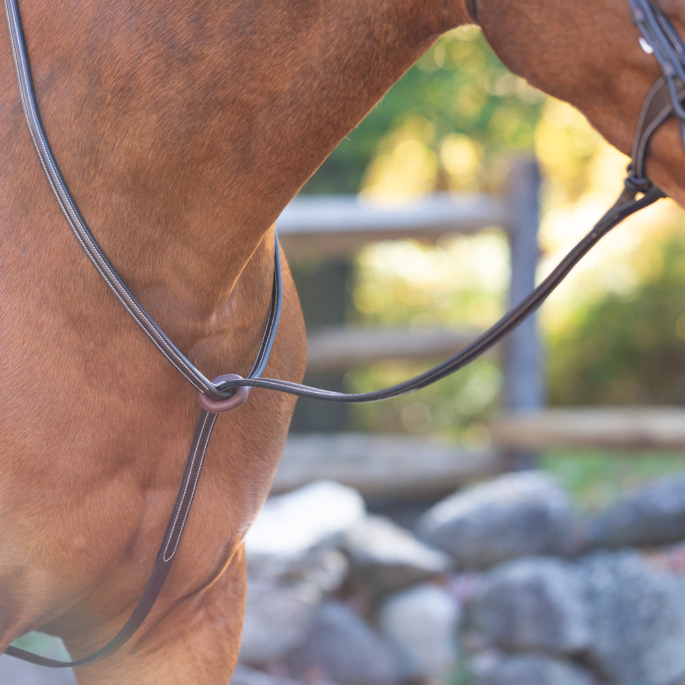 Equinavia Saga Standing Martingale image #2
