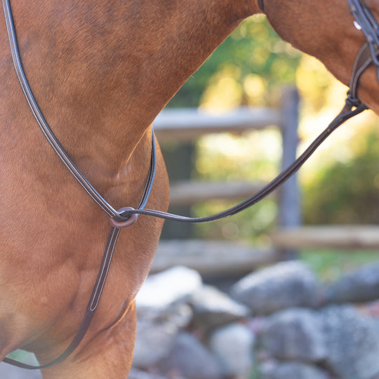 Equinavia Saga Standing Martingale image 