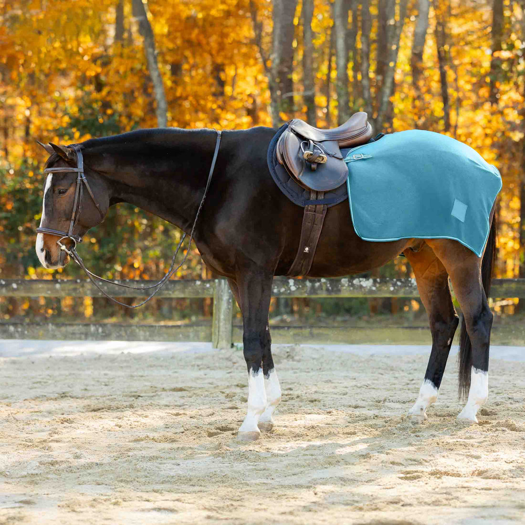 Equinavia Norse Fleece Exercise Quarter Sheet image 