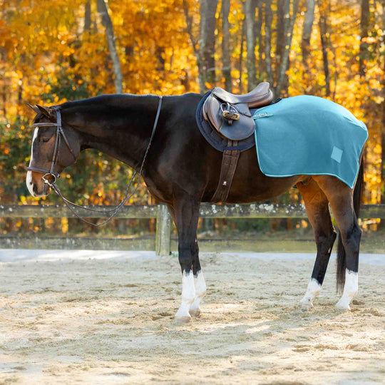 Equinavia Norse Fleece Exercise Quarter Sheet image 