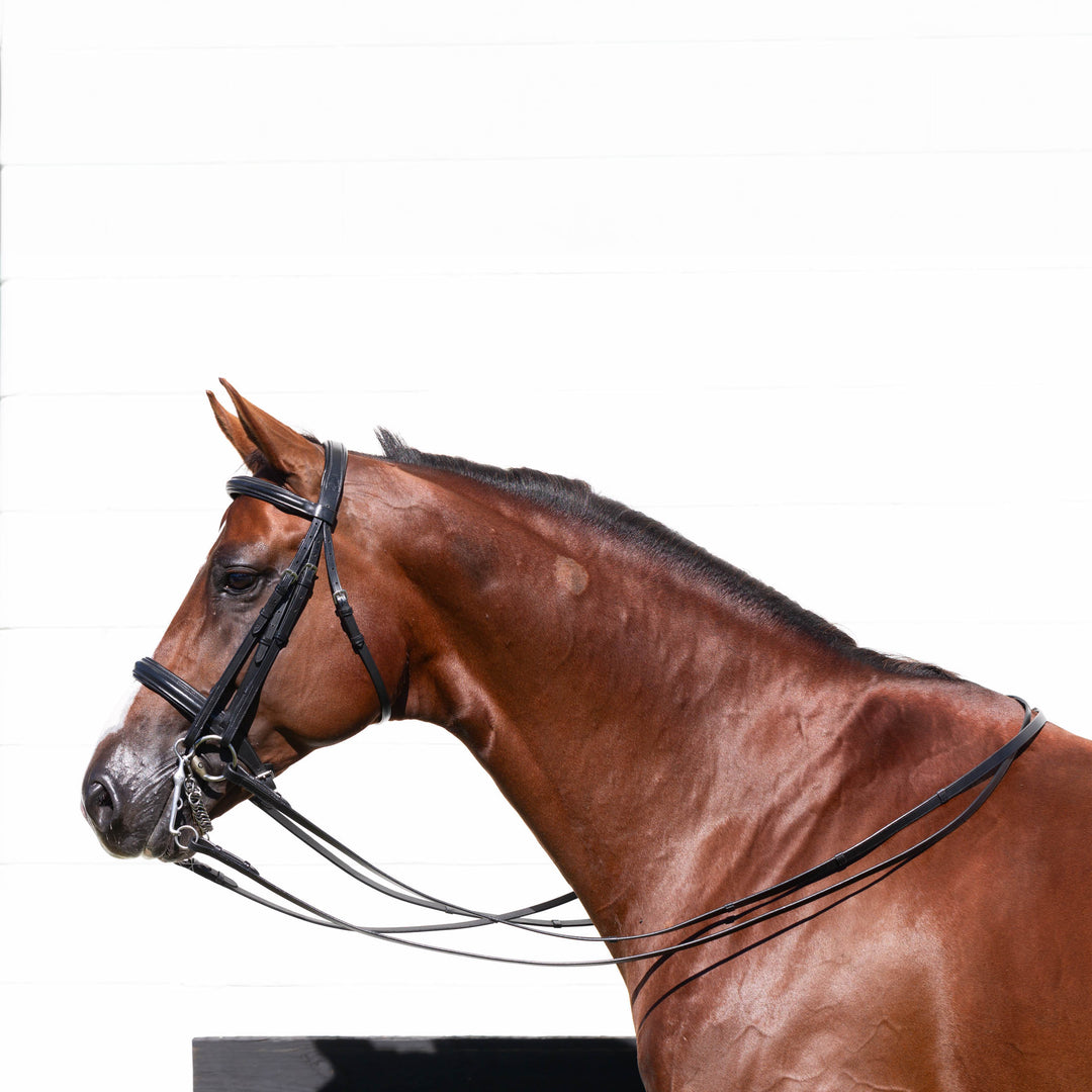 Equinavia Saga Double Bridle w/ Reins image 