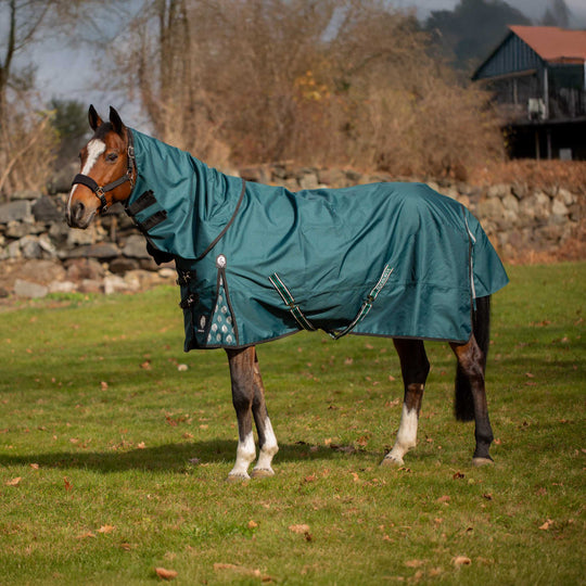 Equinavia Arktis Regular Neck Light Weight Turnout Blanket 100g image 