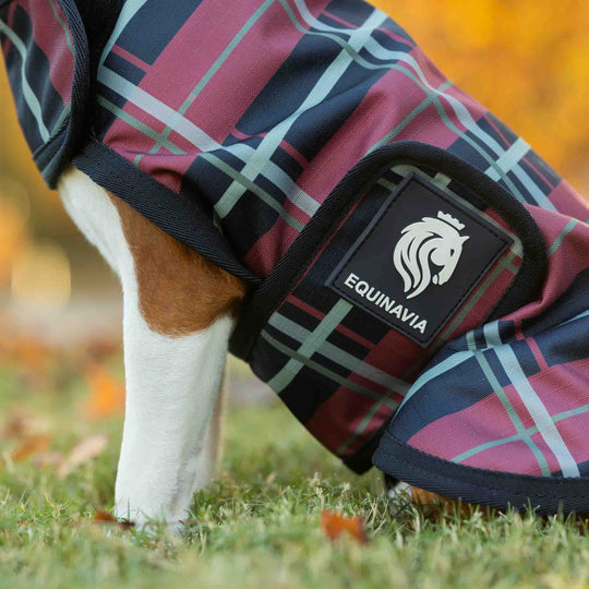 Equinavia Norse Dog Turnout Sheet image 
