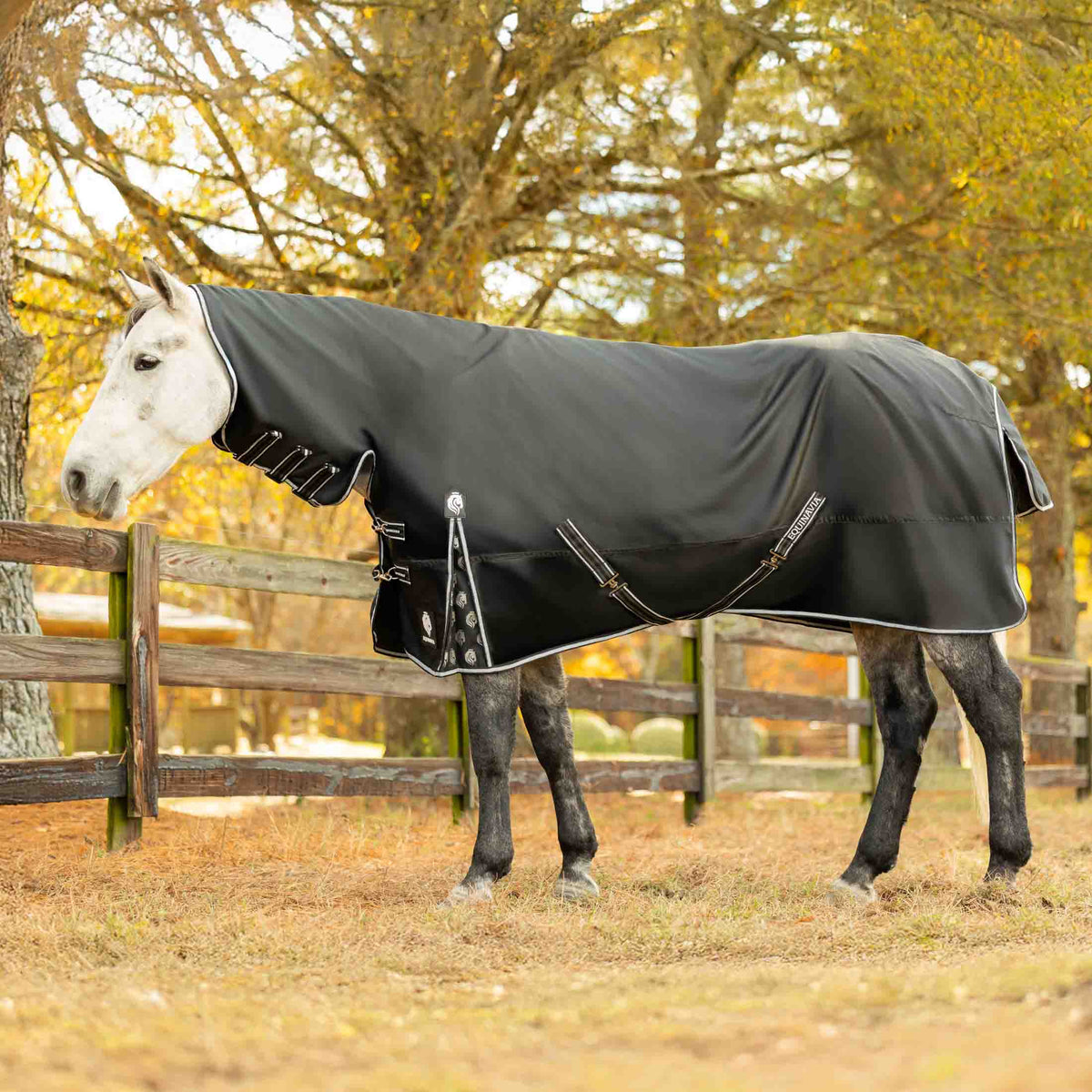 Equinavia Norse Full Neck Turnout Blanket 300g image #1