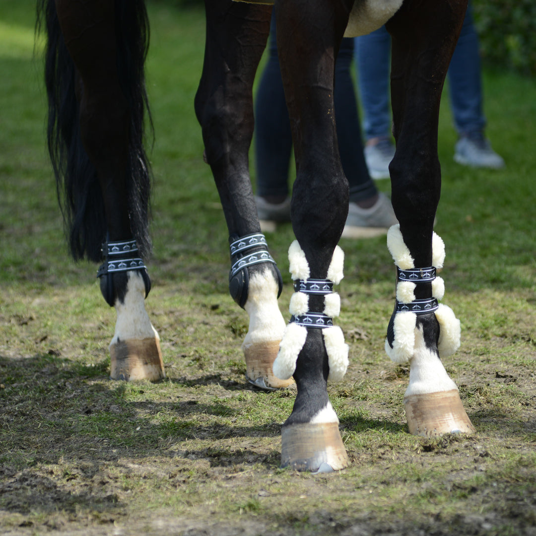 Veredus Carbon Gel Vento Save The Sheep Front Tendon Boots image 