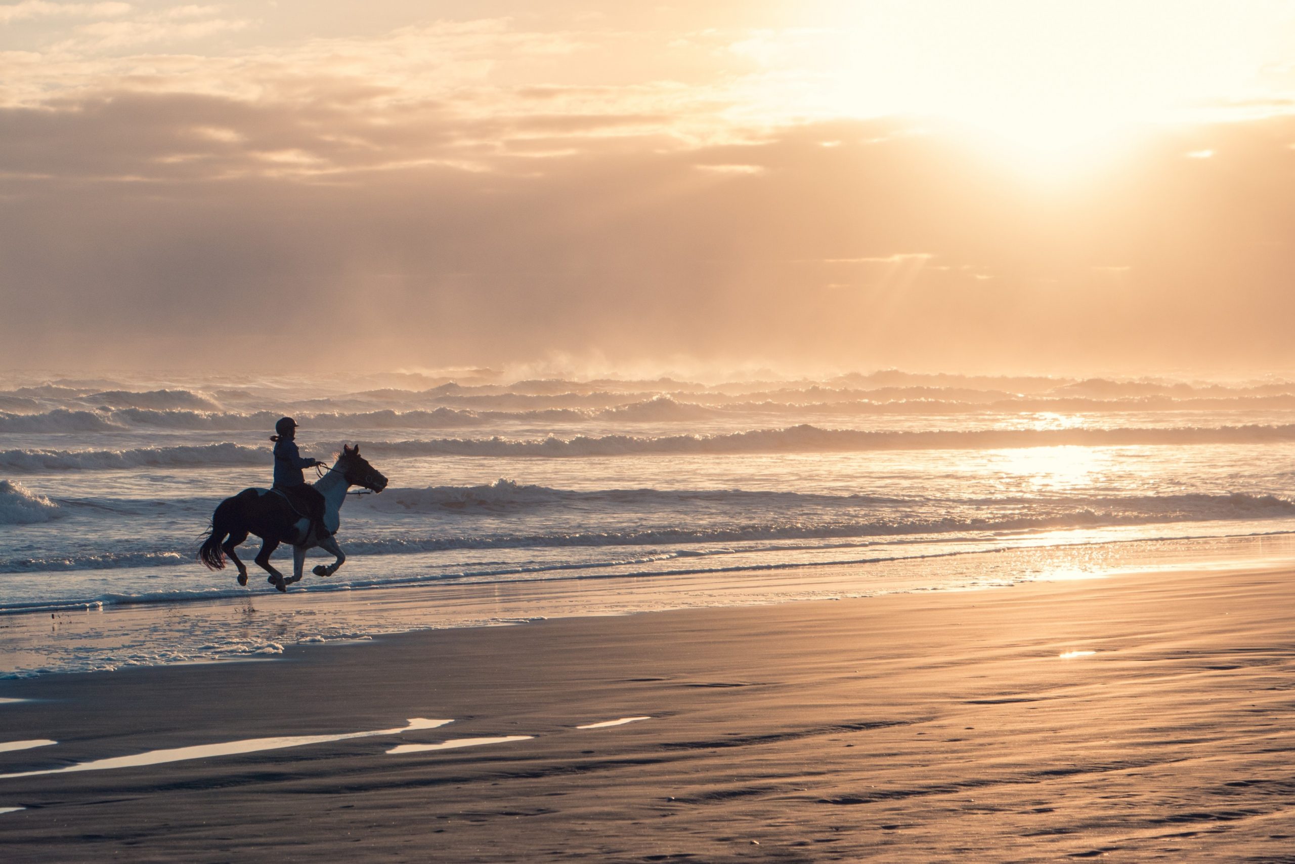 horse and rider on beach at sunrise