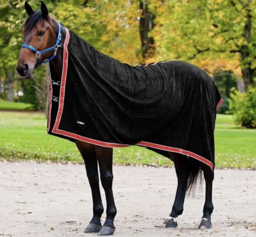 Horse standing in sand arena with square fleece blanket